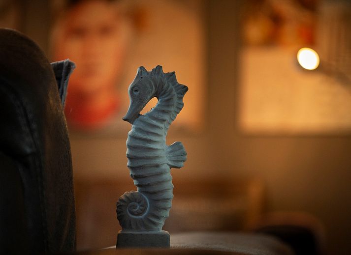 Unterkunft 600492 - Ferienhaus Schouwen-Duiveland - Vakantiewoning Zeepe Duinen 7 &quot;Het Zeepaardje&quot;