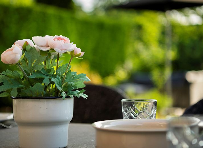 Unterkunft 600492 - Ferienhaus Schouwen-Duiveland - Vakantiewoning Zeepe Duinen 7 &quot;Het Zeepaardje&quot;