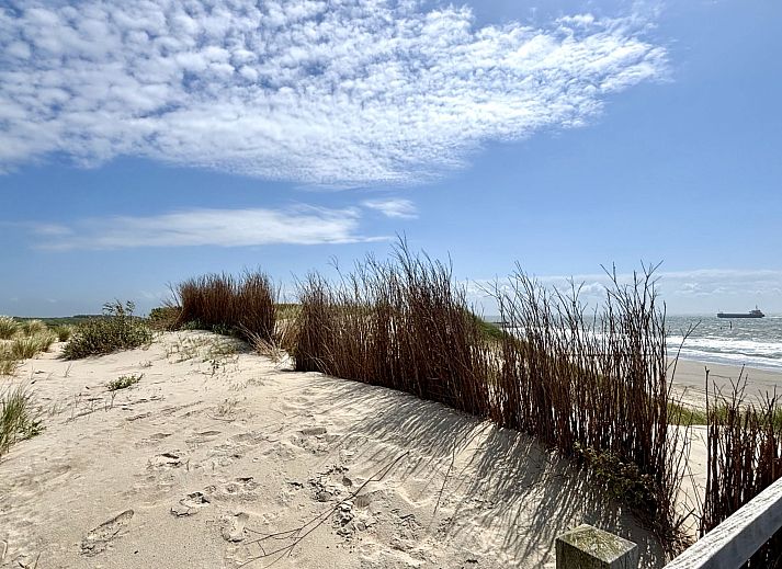 Unterkunft 600611 - Appartement Schouwen-Duiveland - Appartement Beach House Bruinisse