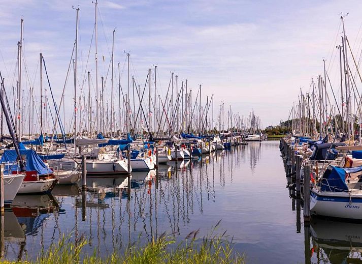Guest house 600689 - Apartment Schouwen-Duiveland - Aquadelta 34