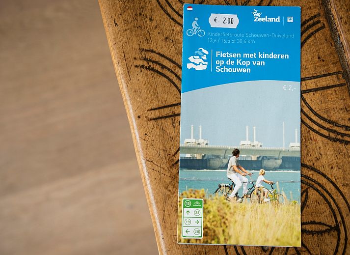 Grosszuegige Rasenflaeche mit Basketballkorb im Ferienhaus De Zuidhoek 6 in Renesse, ideal fuer sportliche Aktivitaeten.