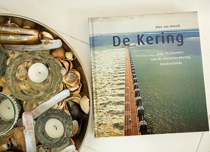 Grosszuegige Rasenflaeche mit Basketballkorb im Ferienhaus De Zuidhoek 6 in Renesse, ideal fuer sportliche Aktivitaeten.