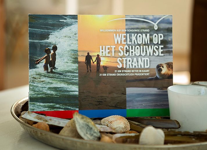 Grosszuegige Rasenflaeche mit Basketballkorb im Ferienhaus De Zuidhoek 6 in Renesse, ideal fuer sportliche Aktivitaeten.