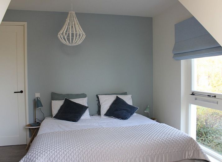 Guest house 6007164 - Holiday property Schouwen-Duiveland - De Oester