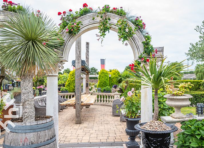 Guest house 600716 - Holiday property Schouwen-Duiveland - ZE1182