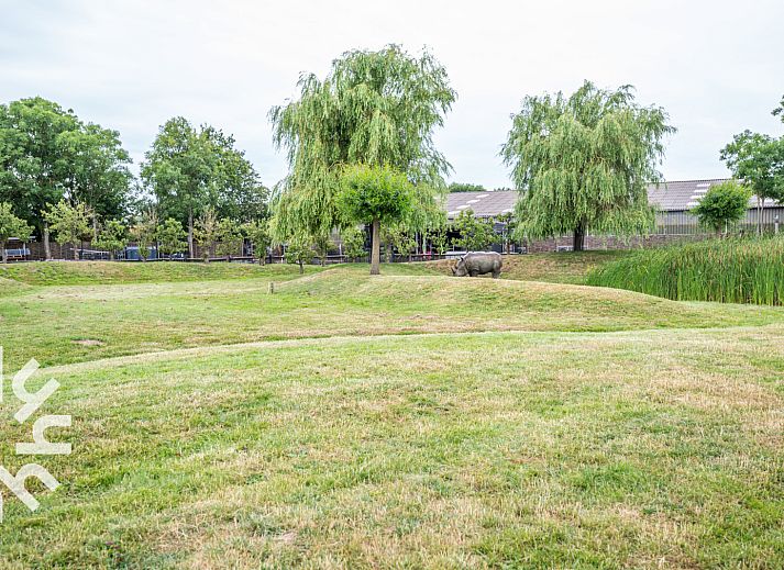 Guest house 600716 - Holiday property Schouwen-Duiveland - ZE1182