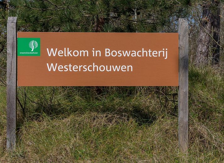 Guest house 6007191 - Holiday property Schouwen-Duiveland - Vakantiehuis DuinZilver B