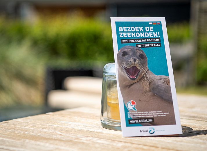 Gezellige woonkamer in Vakantiehuis Zonnedorp 15 Stuurboord, Renesse, met moderne inrichting en uitzicht op de groene omgeving van Zeeland.