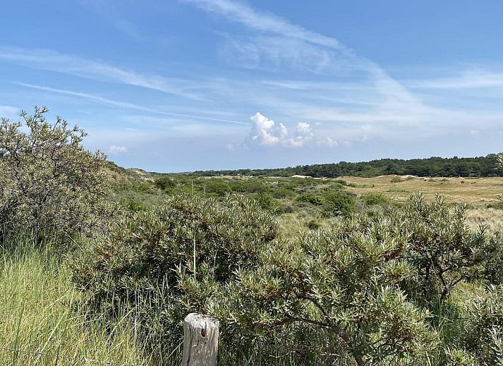 Guest house 6007202 - Holiday property Schouwen-Duiveland - VZ677 Vakantiechalet Duif 272 Renesse