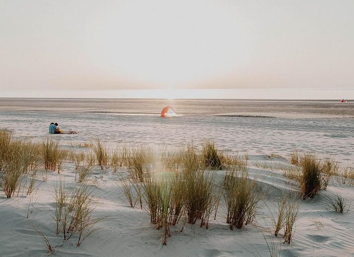 Unterkunft 6007203 - Ferienhaus Schouwen-Duiveland - VZ2405 Vakantiechalet Merel 48 Renesse