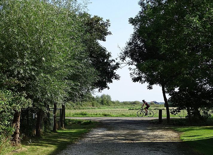 Ruime tuin bij VZ891 Vakantiehuis in Renesse met picknicktafel, Schouwen-Duiveland, Zeeland.