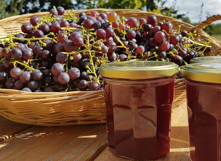 Comfortabele woonkamer in VZ891 Vakantiehuis in Renesse, Schouwen-Duiveland, Zeeland.