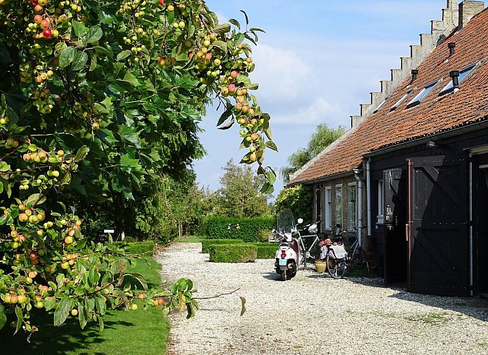 Guest house 6007206 - Holiday property Schouwen-Duiveland - VZ890 Vakantiehuis in Renesse