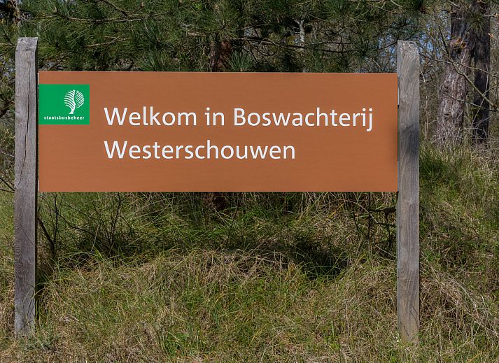 Beautiful beach view near Holiday home Duinzicht Renesse on Schouwen-Duiveland, Zeeland.