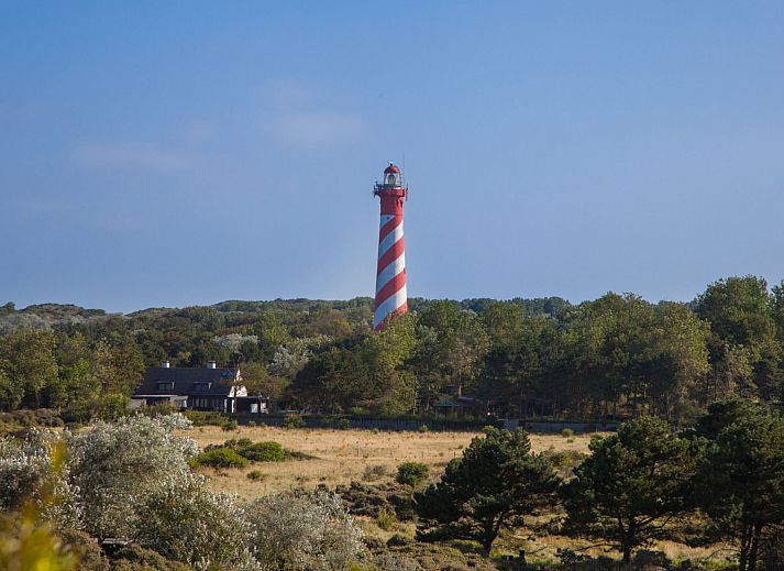 Beautiful beach view near Holiday home Duinzicht Renesse on Schouwen-Duiveland, Zeeland.