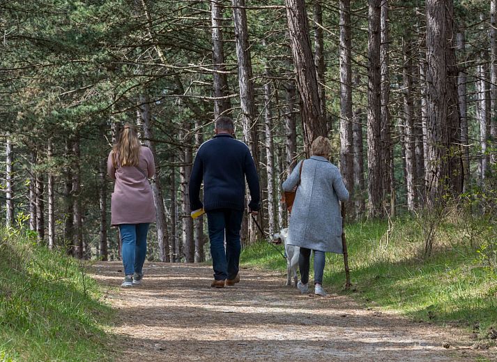 Cozy sitting area in the living room of Holiday home Duinzicht Renesse, perfect for relaxation.