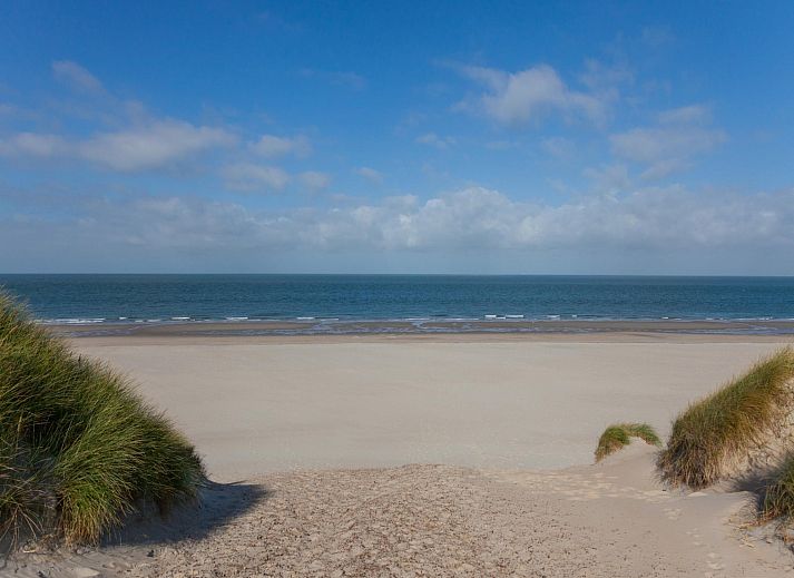 Guest house 6007215 - Holiday property Schouwen-Duiveland - Zonnedorp Kavel 10 Renesse | Villa near the Beach & with Spa