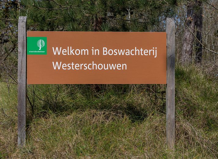 Guest house 6007215 - Holiday property Schouwen-Duiveland - Zonnedorp Kavel 10 Renesse | Villa near the Beach & with Spa