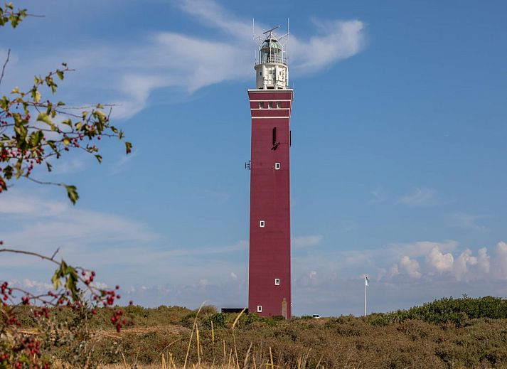 Guest house 6007221 - Holiday property Schouwen-Duiveland - Zonnedorp 26 Renesse: Comfortable Beach Holiday on the North