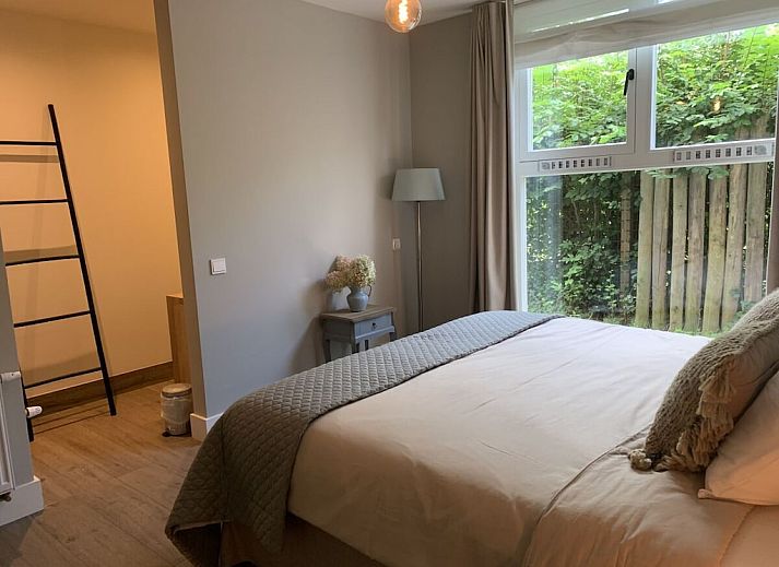 Guest house 6007225 - Holiday property Schouwen-Duiveland - 279484