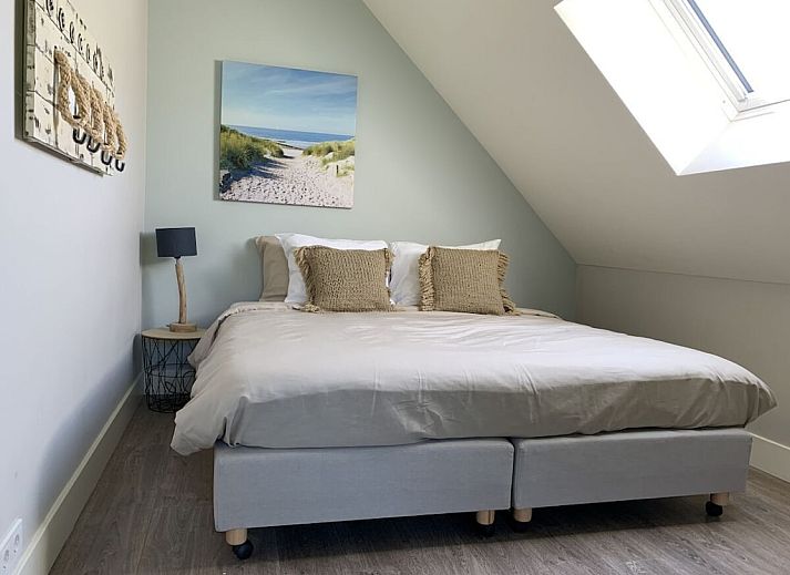 Guest house 6007225 - Holiday property Schouwen-Duiveland - 279484