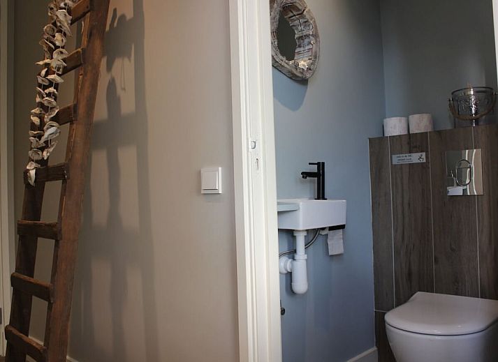 Guest house 6007225 - Holiday property Schouwen-Duiveland - 279484
