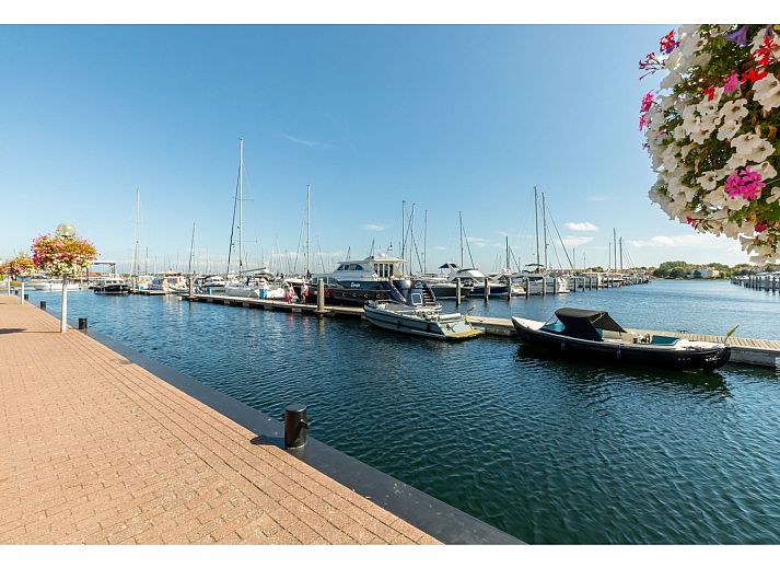 Guest house 6007235 - Holiday property Schouwen-Duiveland - Strandvilla 31
