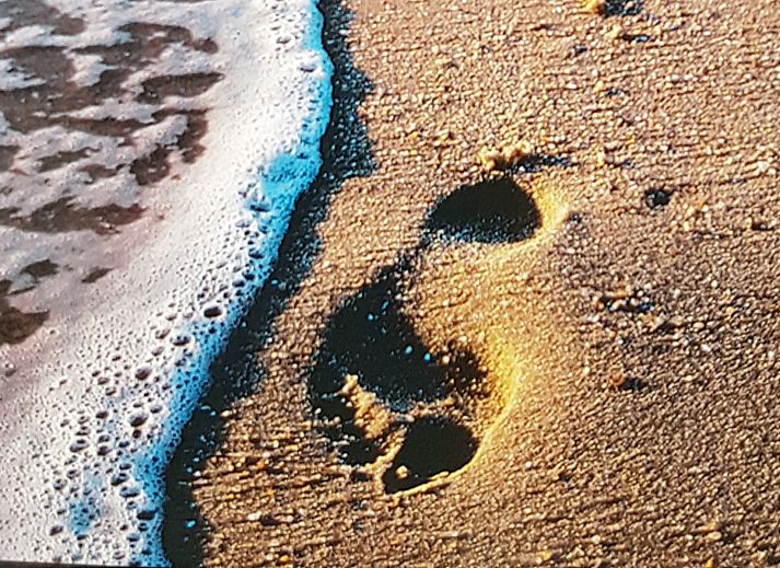 Verblijf 600731 - Vakantiewoning Schouwen-Duiveland - Familiehuis Horizon 84, "Simône"