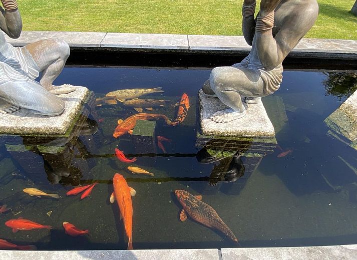 Moderne Einrichtung des VZ712 Apartment Renesse im schoenen Renesse, Zeeland.