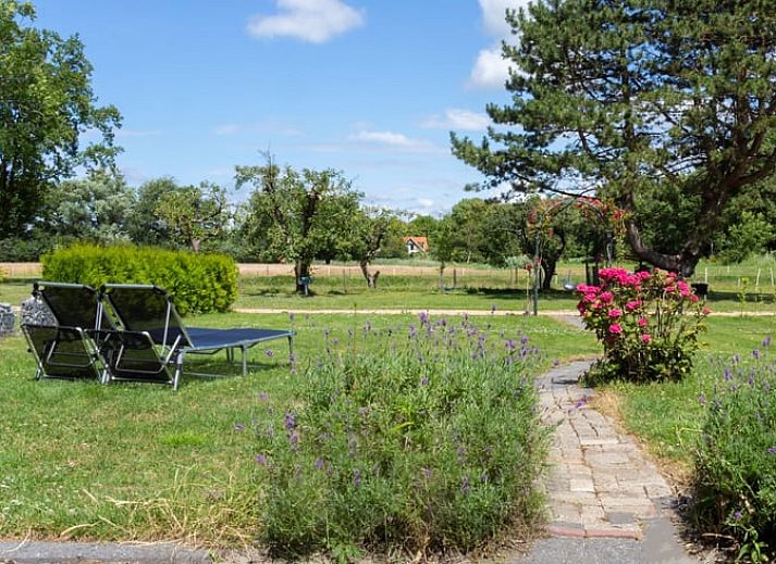 Huisje in Renesse vakantiehuis met zonnige tuin en terras in Schouwen-Duiveland, Zeeland.