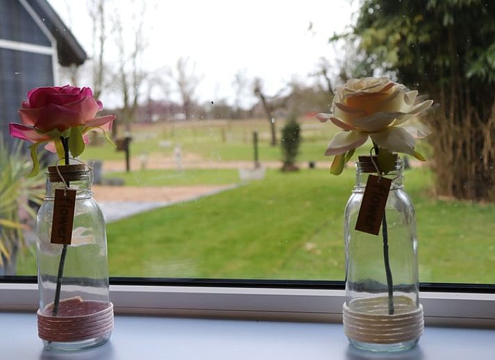 Uitzicht op de groene omgeving van Huisje in Renesse, perfect voor ontspanning in Zeeland.