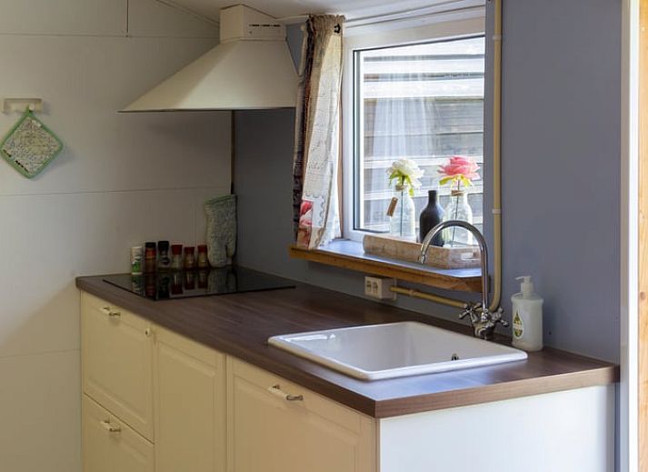 Panoramisch uitzicht op het landschap rondom Huisje in Renesse, ideaal voor natuurliefhebbers.