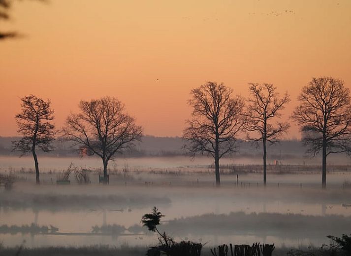 Cottage in Renesse, a charming vacation home in Zeeland with a sunny garden and cozy outdoor area.