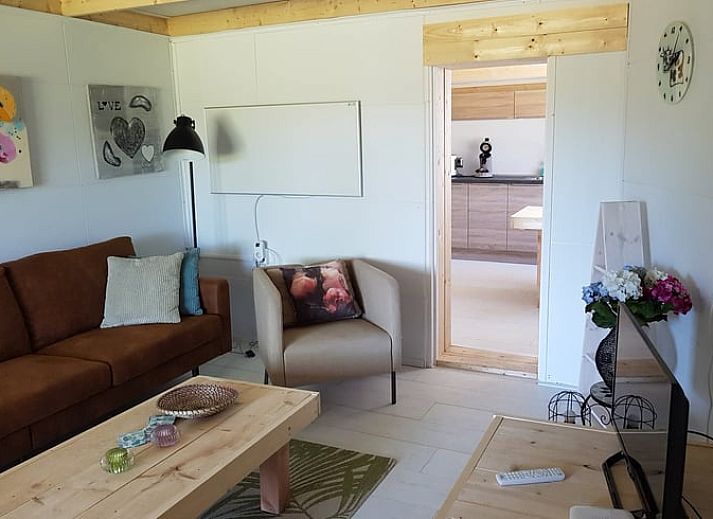 Cozy cat at Huisje in Renesse, vacation home in Renesse, Schouwen-Duiveland, surrounded by nature.