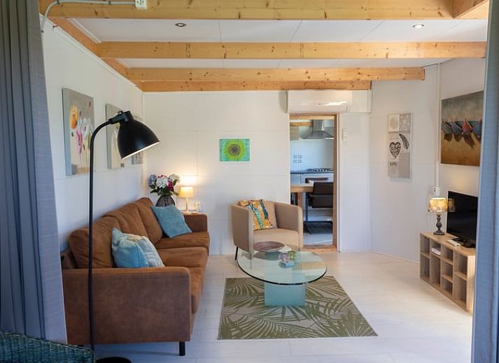 Cozy cat at Huisje in Renesse, vacation home in Renesse, Schouwen-Duiveland, surrounded by nature.