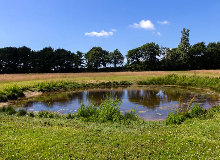 Breathtaking view at sunrise around Cottage in Renesse, vacation home in Schouwen-Duiveland.