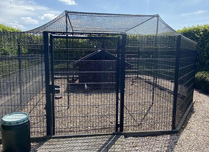 Gemuetliches Wohnzimmer in VZ704 Ferienhaus Renesse mit stilvoller Einrichtung, Renesse, Schouwen-Duiveland, Zeeland.