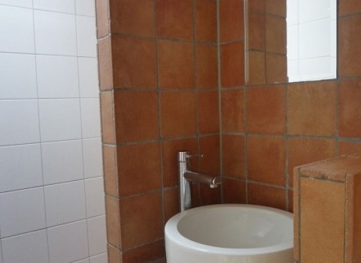 Terras van Westhoek 14 vakantiehuis in Renesse, Zeeland, met houten eettafel en groene tuin.