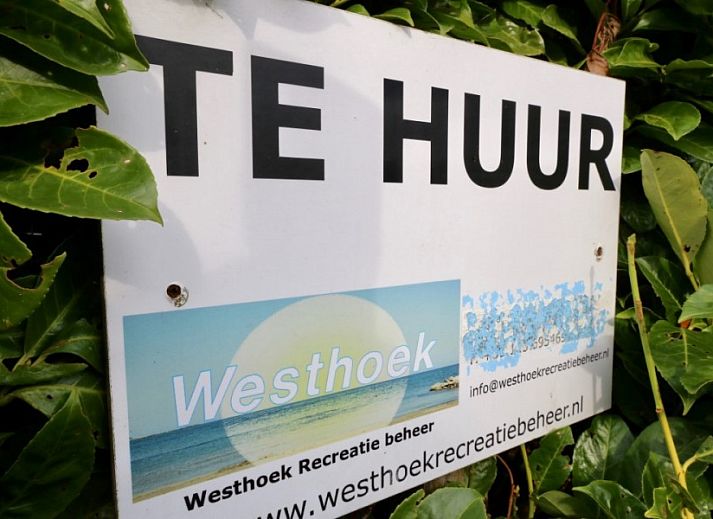 Gezellige zitkamer in Westhoek 14 bungalow, Renesse, met comfortabele bank en stijlvolle inrichting.