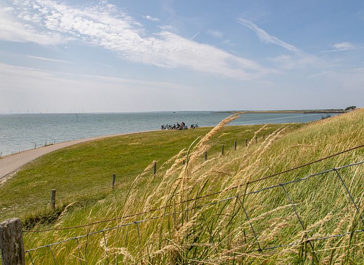 Guest house 600804 - Holiday property Schouwen-Duiveland - ZE897