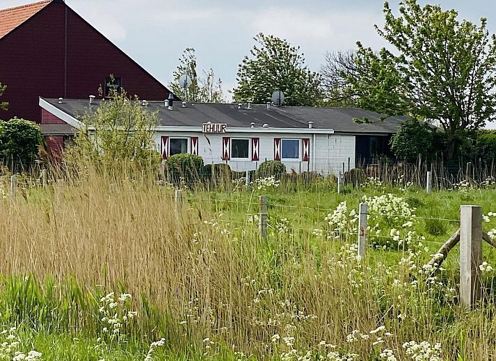 Uitzicht op natuur vanuit VZ182 Vakantiehuis Kerkwerve in Zeeland.