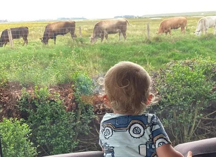 Veranda van Vakantiehuisje in Kerkwerve, ideaal voor ontspanning in Zeeland.