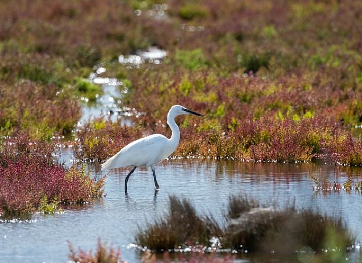 Gezellige woonkamer in Vakantiehuisje in Kerkwerve, Schouwen-Duiveland.
