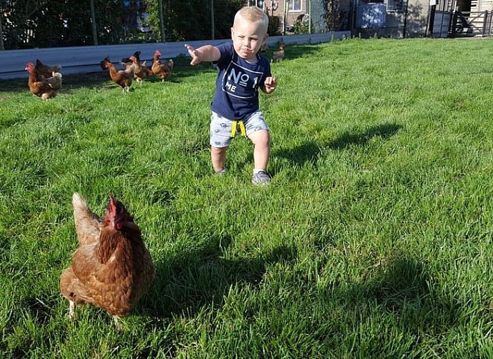 Gezellige woonkamer in Vakantiehuisje in Kerkwerve, Schouwen-Duiveland.