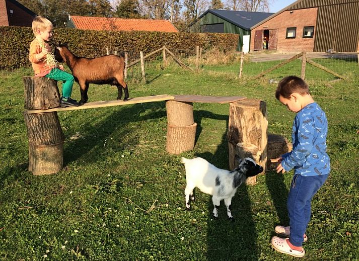 Unterkunft 600847 - Chalet Schouwen-Duiveland - Chalet Aqua