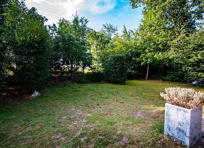 Guest house 600905 - Chalet Schouwen-Duiveland - Vakantiewoning Populierenlaan 13, &quot;Veldzicht&quot;