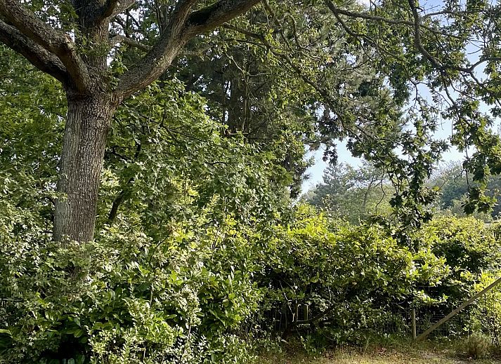 Guest house 600905 - Chalet Schouwen-Duiveland - Vakantiewoning Populierenlaan 13, &quot;Veldzicht&quot;