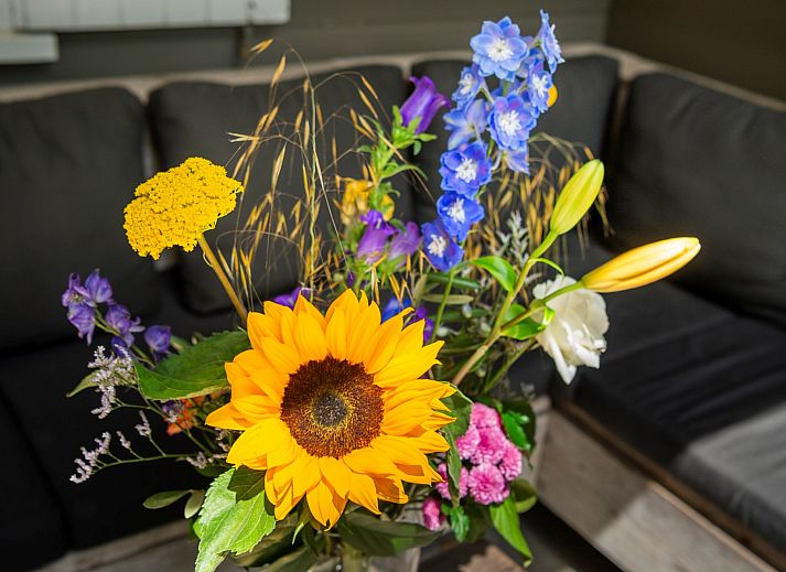 Terrasse des Ferienhauses Populierenlaan 21, Lodge to Lounge, mit bequemen Sitzgelegenheiten in der Natur von Zeeland.