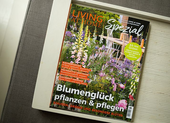 Guest house 600909 - Chalet Schouwen-Duiveland - Vakantiewoning Populierenlaan 24