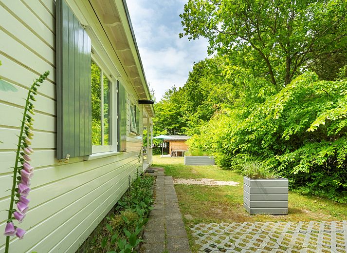 Guest house 600909 - Chalet Schouwen-Duiveland - Vakantiewoning Populierenlaan 24